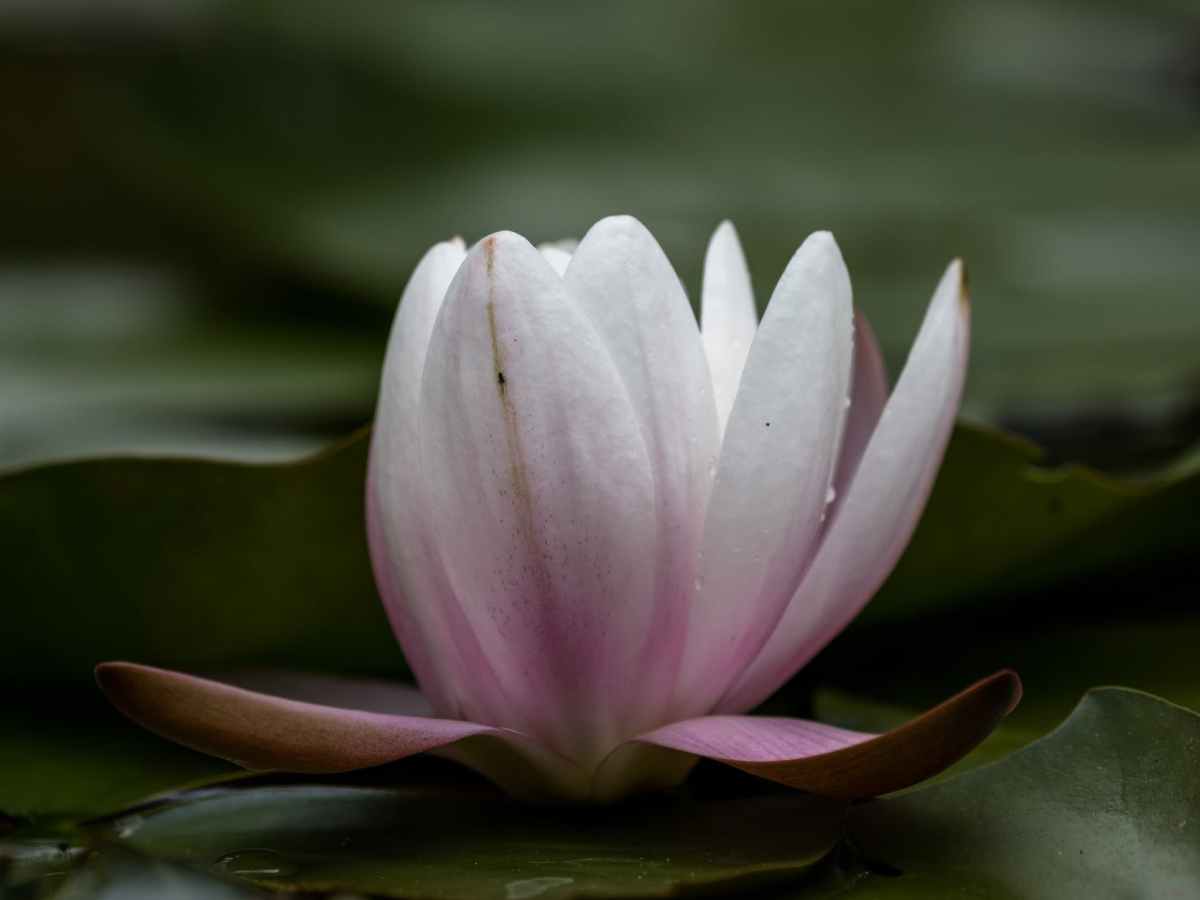 #20 Yoga Devi&nbsp;Mantra