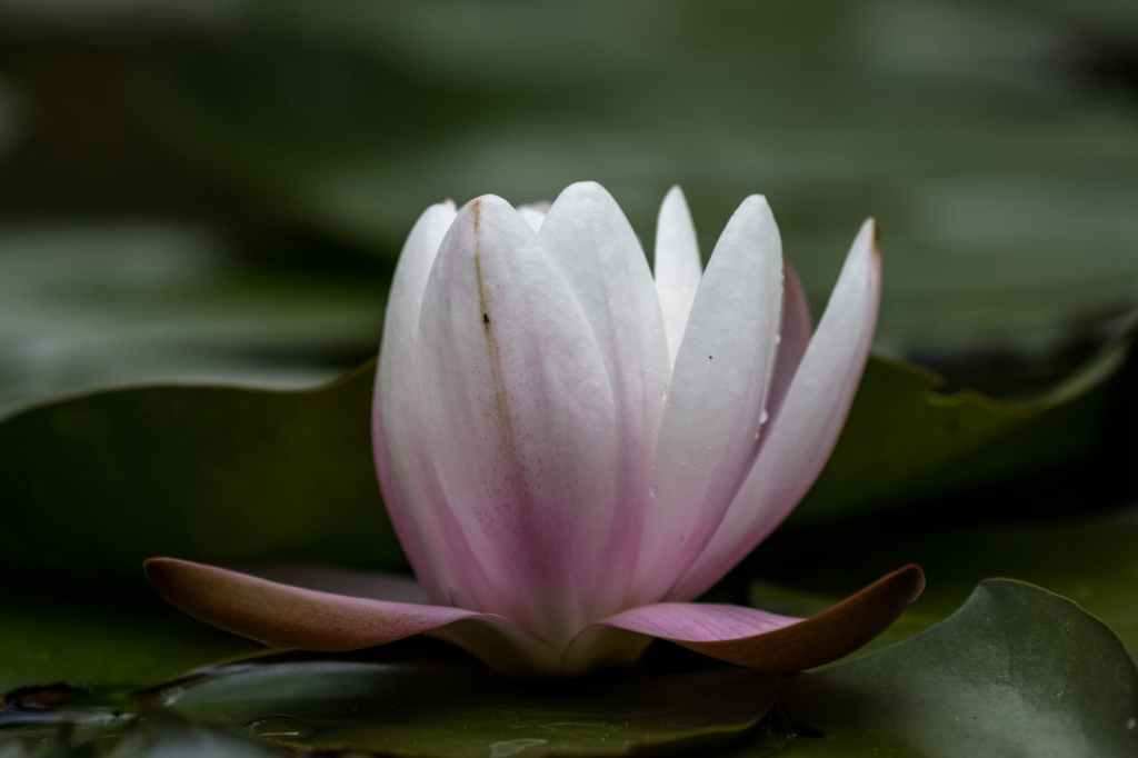 #20 Yoga Devi&nbsp;Mantra